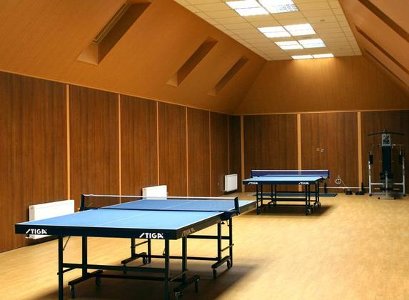 Настольный теннис и тренажеры для пожилых