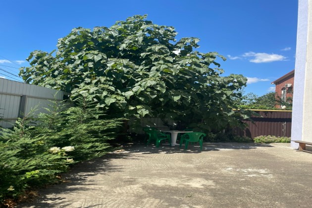 Пансионат для пожилых «Времена года» в Краснодаре — комнаты